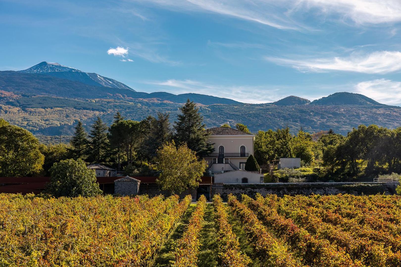 Campore Etna Wines And Resort Randazzo Exterior photo